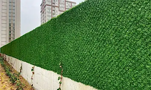 ÇİM ÇİT ÇİM ÇİT